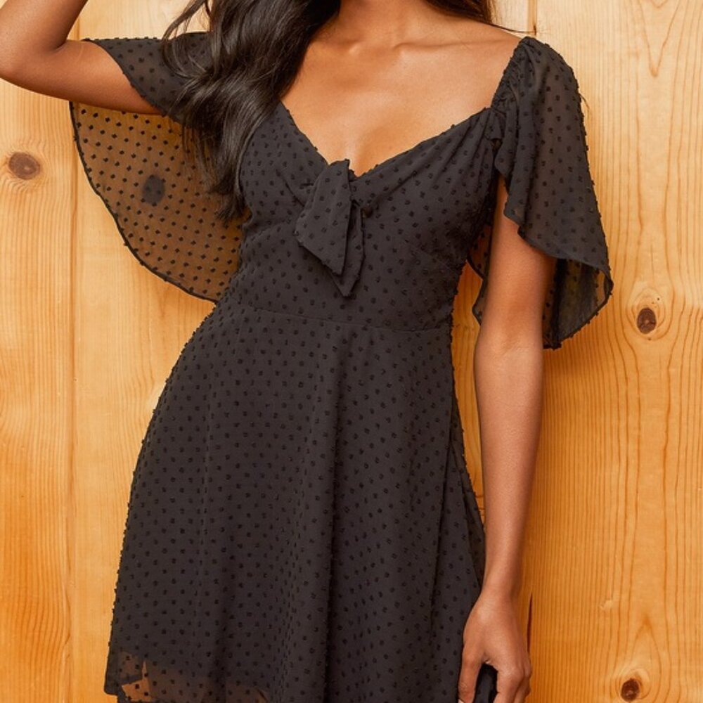 Lulus Be A Dear Black Swiss Dot Tie-front Skater Dress - Size L